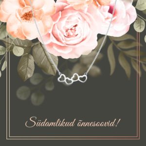 Siselly ehted ja kaelaketid, hõbeehted ja hõbekaelakett. Suurepärane kingitus.