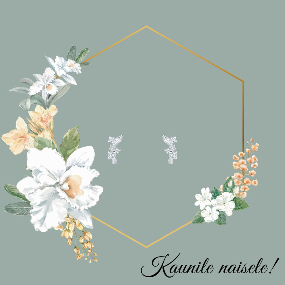 Sõnumikaart Kõrvarõngad "Kaunile naisele!" - Image 3